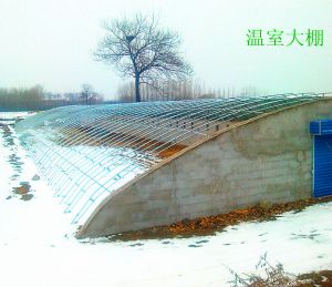 溫室大棚5