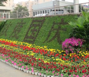 珠海節(jié)日花卉搭建